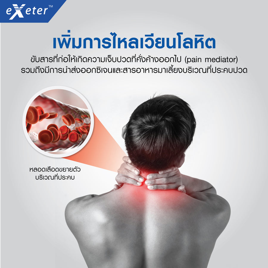 EXETER THERMO PAD แผ่นให้ความร้อนด้วยไฟฟ้า (30X45CM)