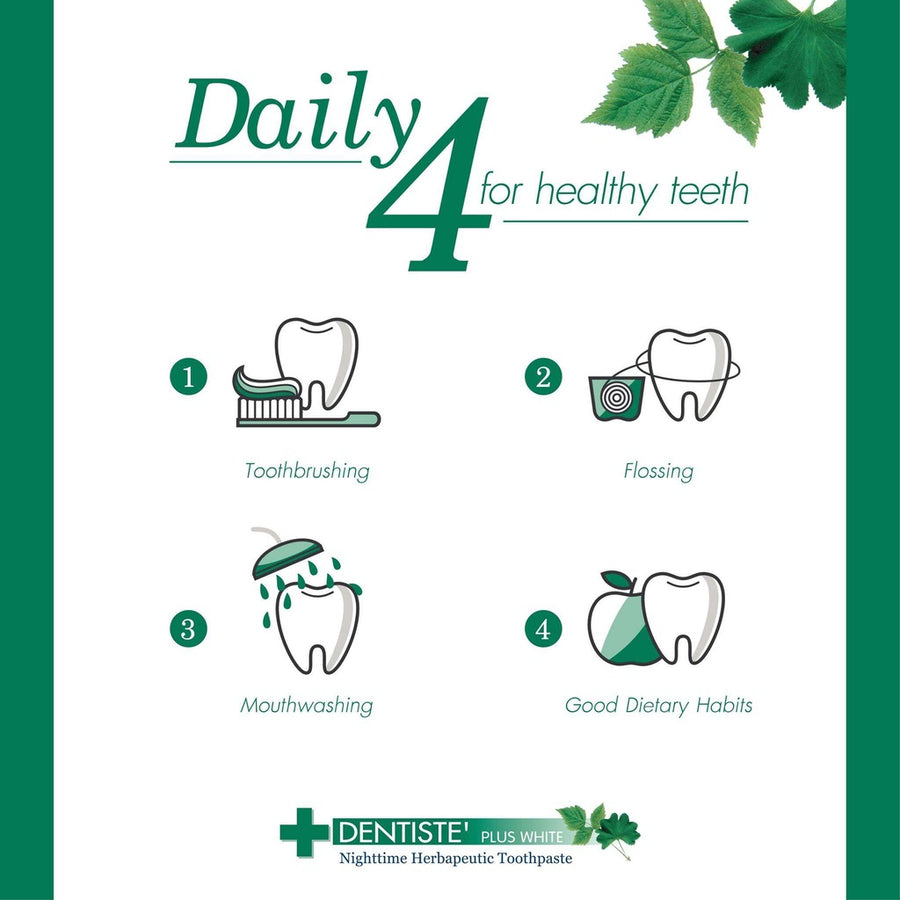 (Pack 6) Dentiste' Italy Tooth Brush Big-Blis