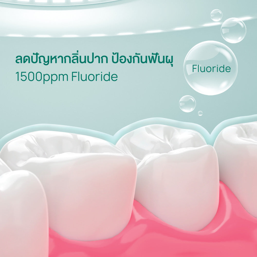 Dentiste Max Fresh Breath