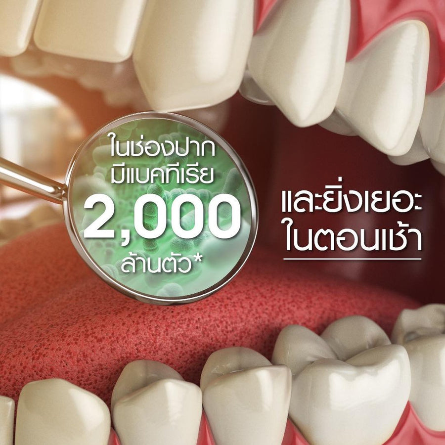 Dentiste ยาสีฟันพร้อมแปรงสีฟันขนาดพกพา Travel Pack Foldable ยาสีฟัน original 20g. + แปรงสีฟันพับได้