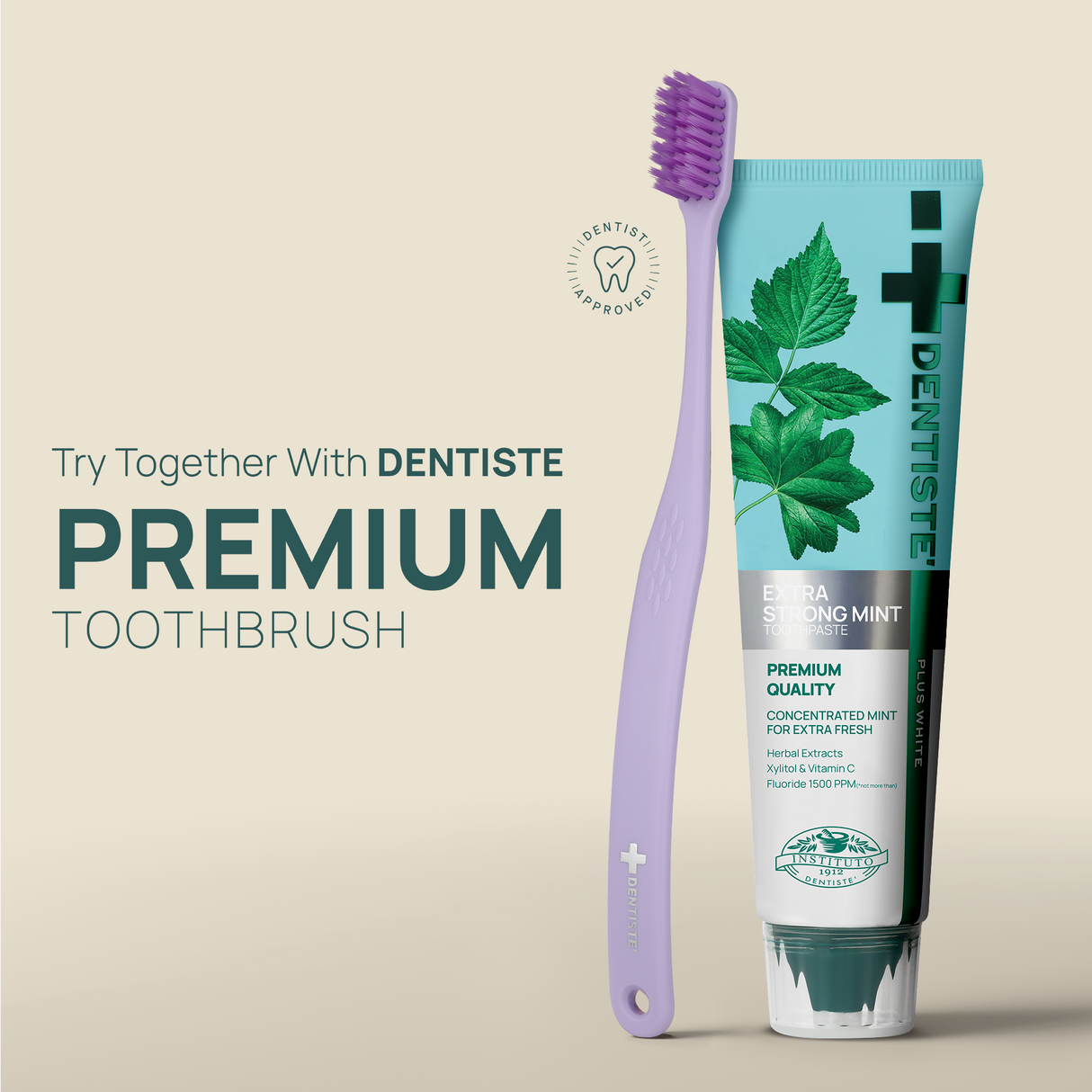 Dentiste Ergonomic Toothbrush Twin Pack (Random Color)