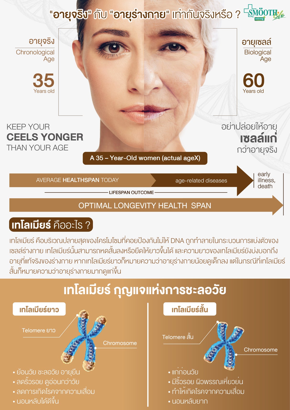 Telolife by Smooth Life