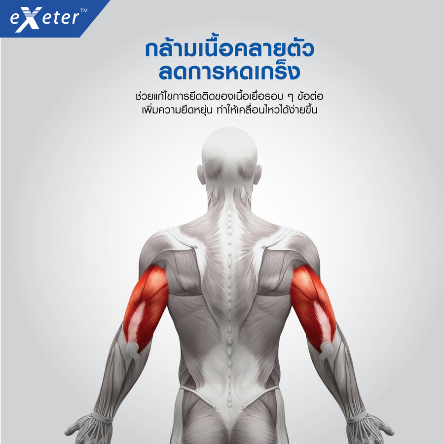 EXETER THERMO PAD แผ่นให้ความร้อนด้วยไฟฟ้า (30X45CM)