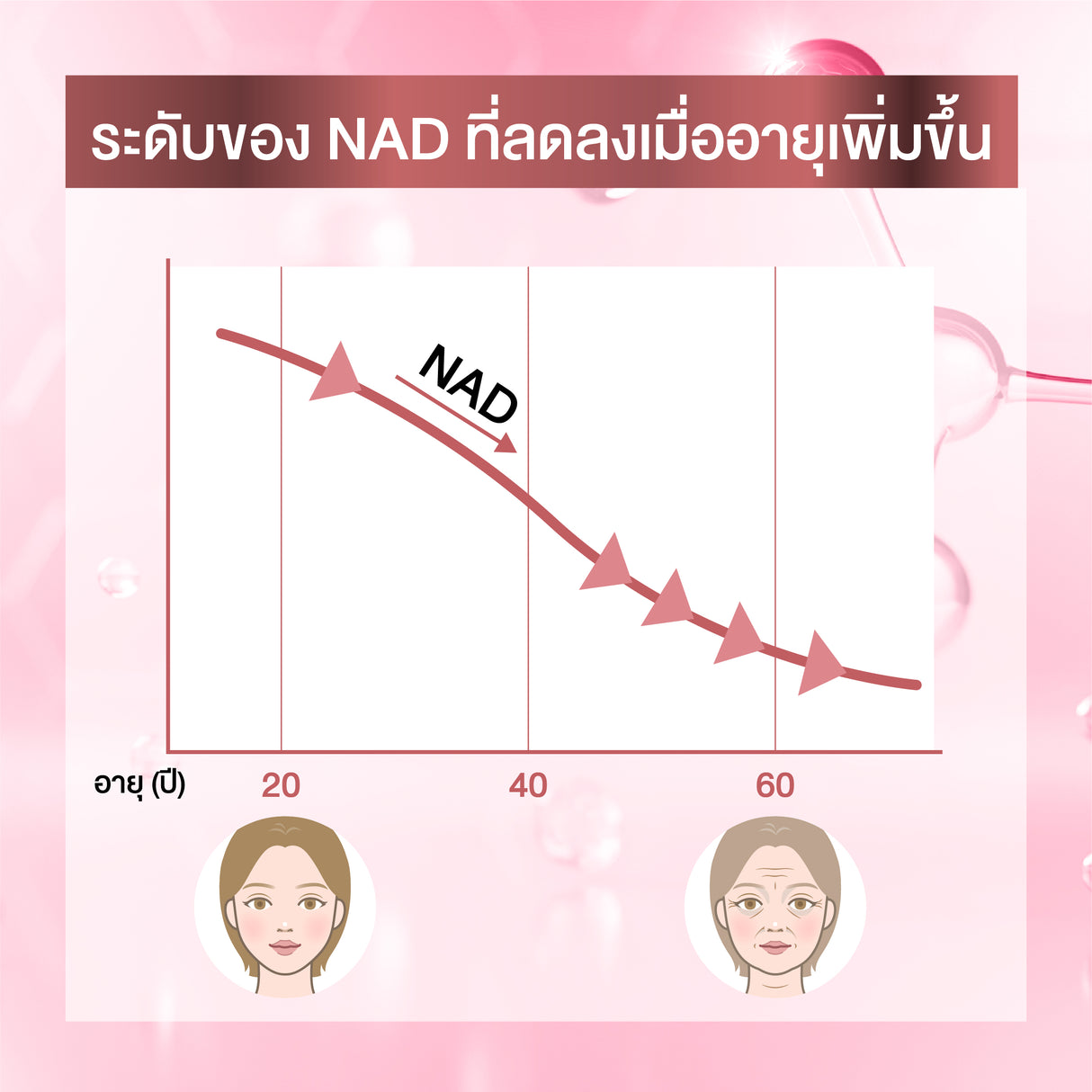 [NEW] Smooth E NAD+ Cream 30 ml.