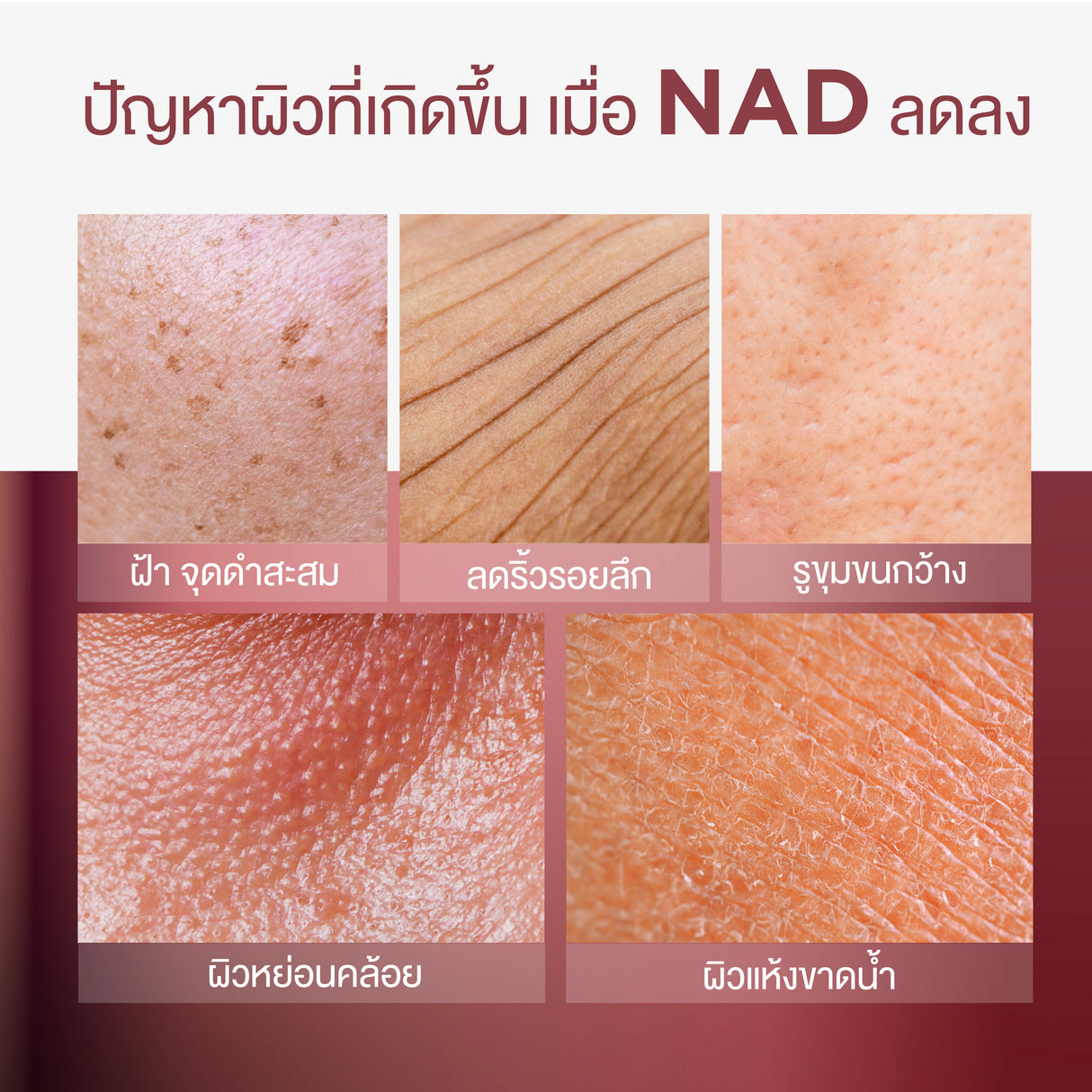 [แพ็คสุดคุ้ม] Smooth E NAD+ Cream 30 ml. นวัตกรรมครีมย้อนวัย REJUVENAD™ &  Retinol Plus Deep Wrinkle