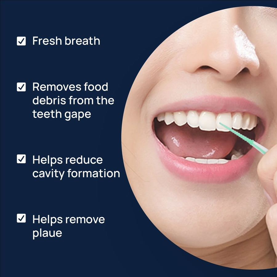 [Mid-Year Sale] Dentiste’ Soft Picks Plaque Clean & Gum Care 30 ชิ้น