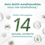 Dentiste Travel Pack Whitening (Foldable) เซ็ตยาสีฟันสูตร Premium White พร้อมแปรงพับ แบบพกพา สำหรับท่องเที่ยว เดนทิสเต้