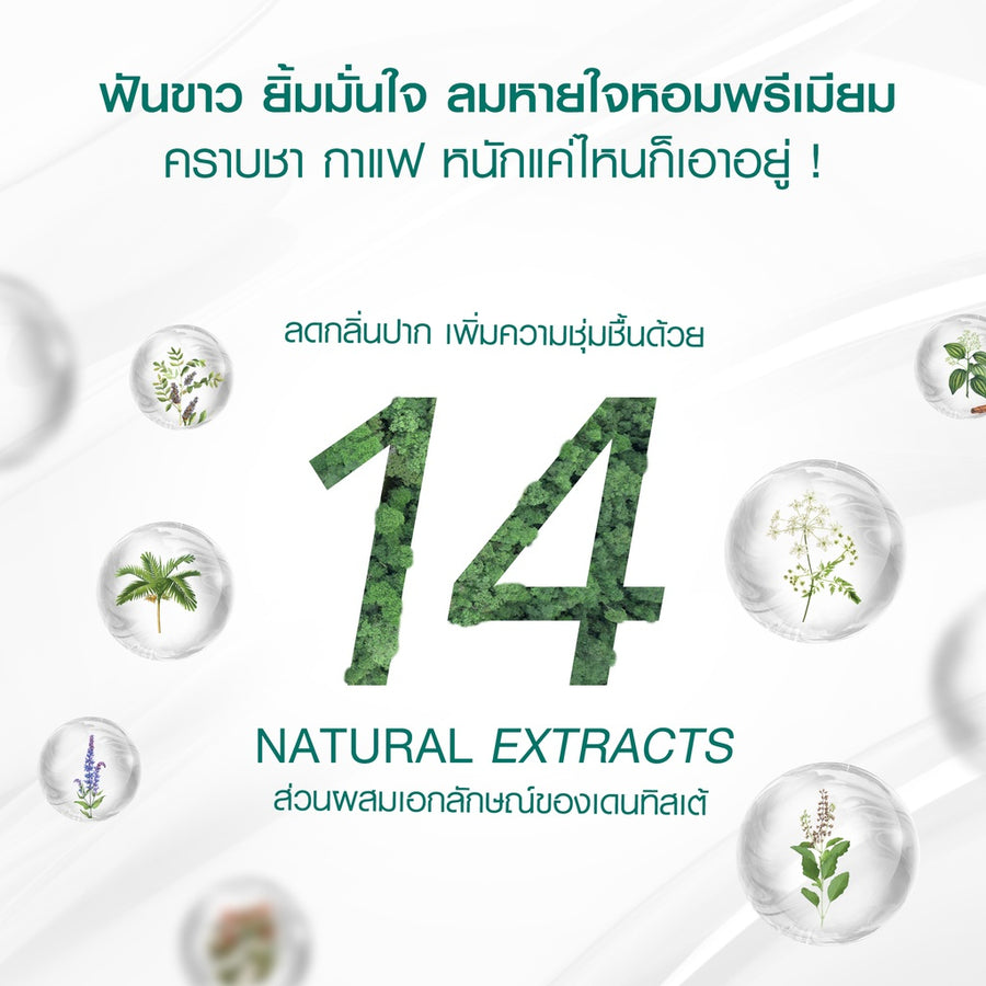 Dentiste Travel Pack Whitening (Foldable) เซ็ตยาสีฟันสูตร Premium White พร้อมแปรงพับ แบบพกพา สำหรับท่องเที่ยว เดนทิสเต้