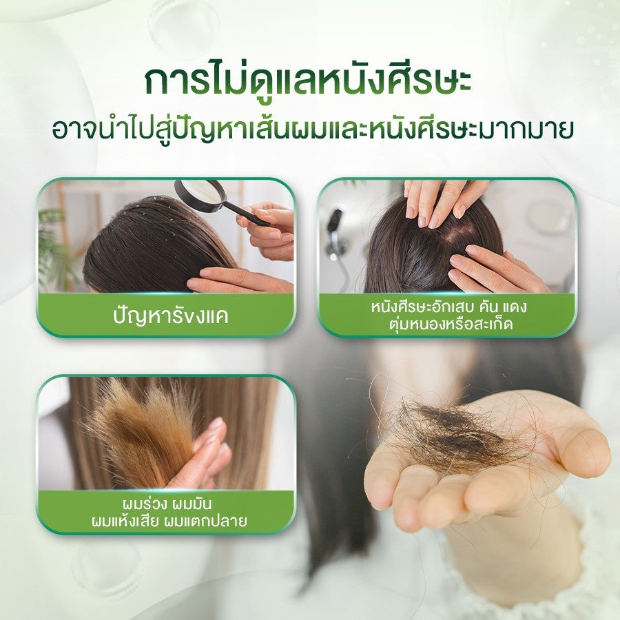 [Mid-Year Sale] AROMASE 5α Juniper Scalp Purifying Liquid Shampoo แชมพูคลีนซิ่งหนังศีรษะ จบปัญหาหนังศีรษะ ไร้สารเคมี