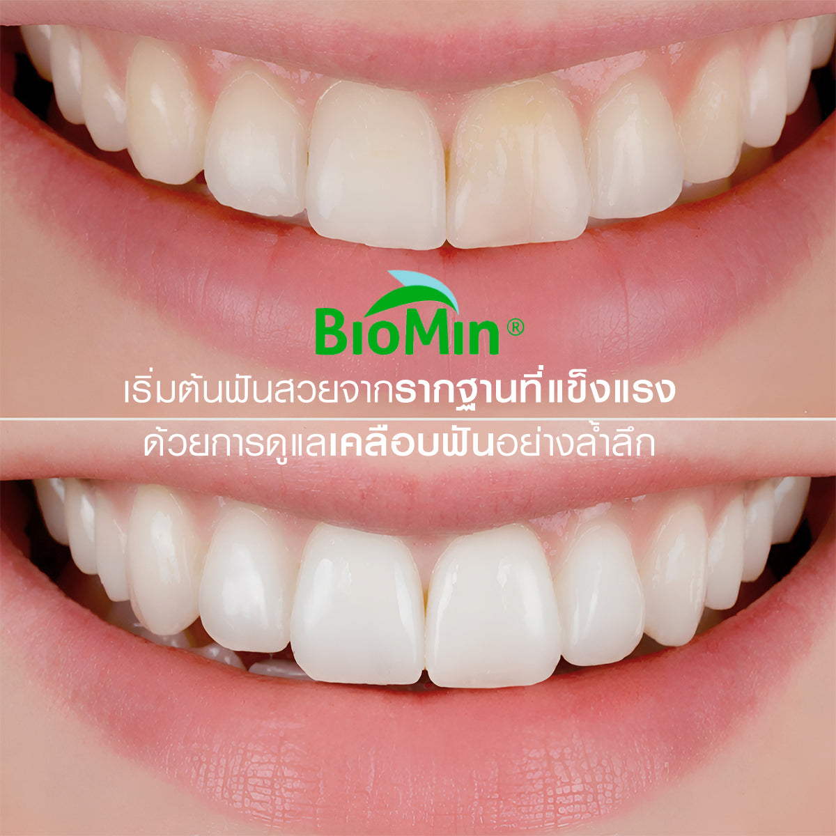 [1 Free 3] Dentiste Repaire 2in1 70g Free Brush x2 Advanced Care x1