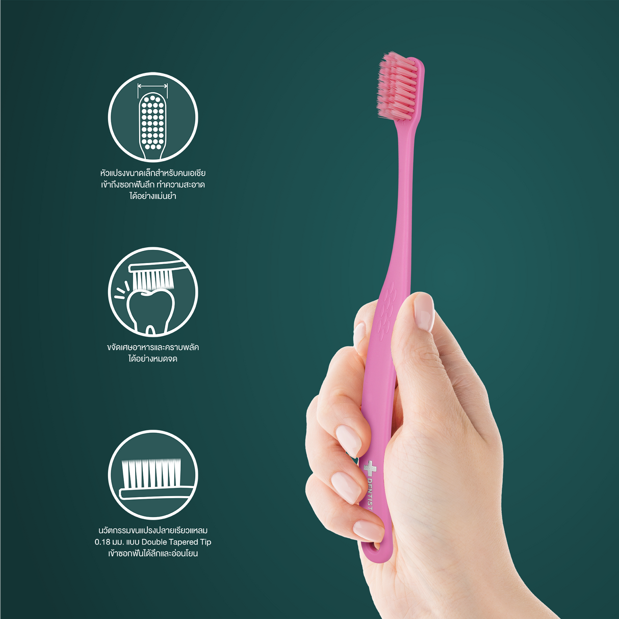 Dentiste Ergonomic Toothbrush Twin Pack (Random Color)
