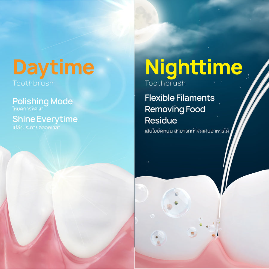 [Mid-Year Sale] Dentiste Day - NightTime Toothbrush แปรงสีฟันสำหรับกลางวัน - กลางคืน