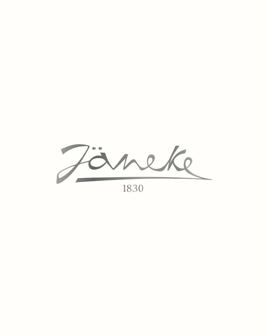 [Mid-Year Sale] Janeke Premium Superbrush Silver