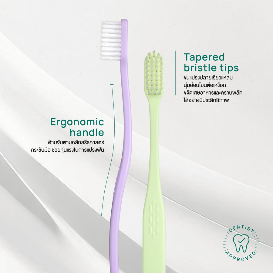 Original Toothpaste 160 g Free Ergonomic Toothbrush
