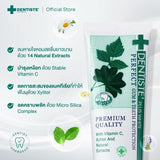 [Random Photocard Faye] Dentiste Original Nighttime Toothpaste 100 g