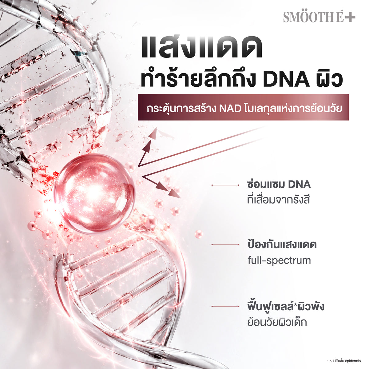 [NEW] Smooth E NAD+ Sunscreen 28 ml.
