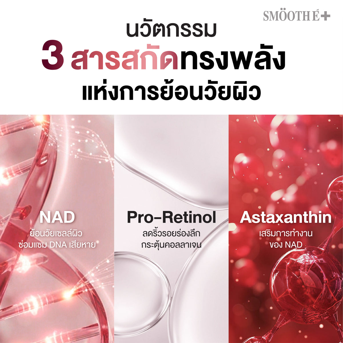 [NEW] Smooth E NAD+ Serum 30 ml.