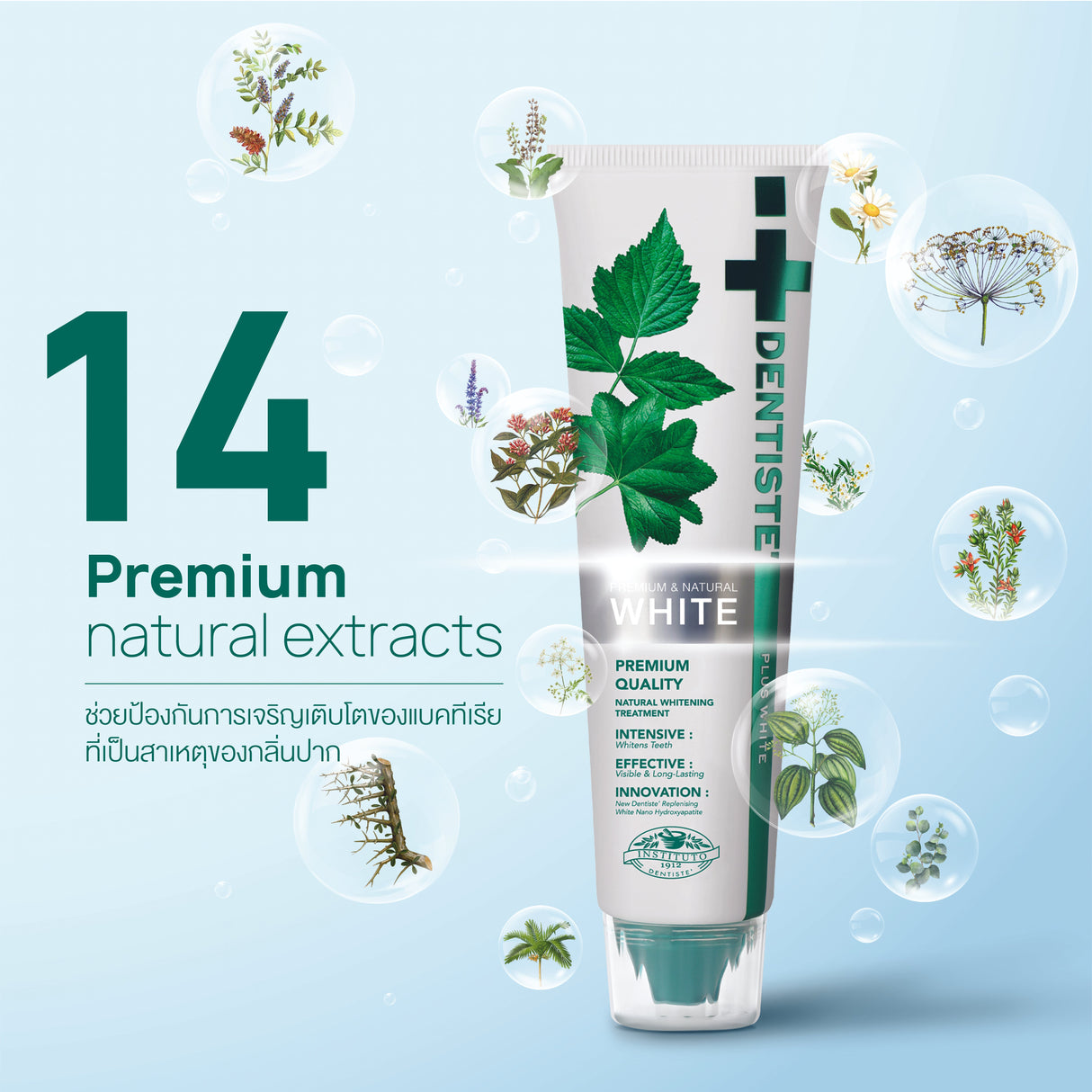 [Limited] Super Dose (Premium & Natural White Toothpaste 350 g. + Day & Night Time Toothbrushes)